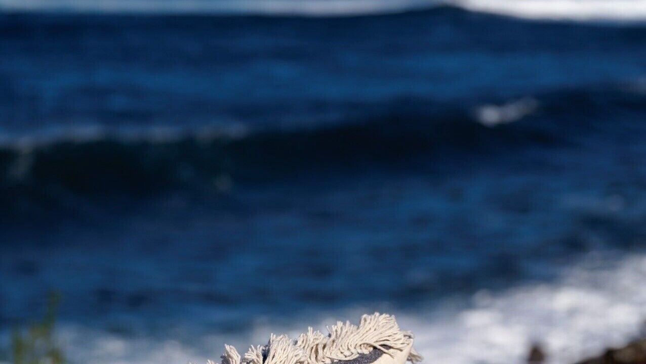 Photo of Others in Pico Island
