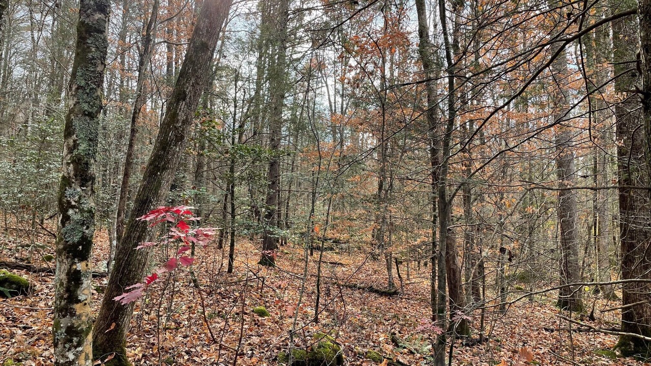 Photo of Others in White Oak Lodge