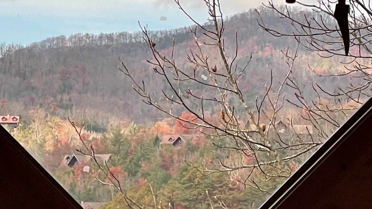 Photo of Others in White Oak Lodge