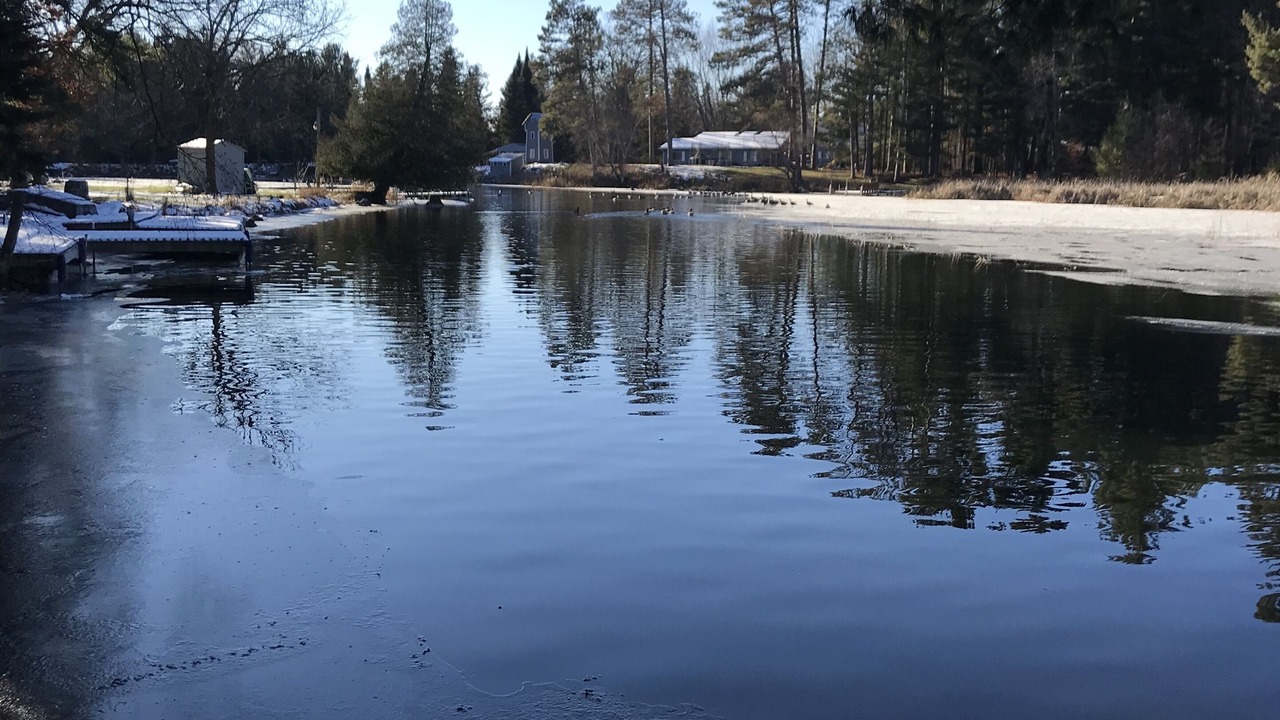 Photo of Outdoor in Pine River