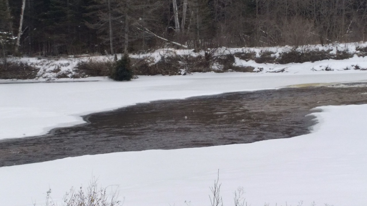 Photo of Others in Algoma District