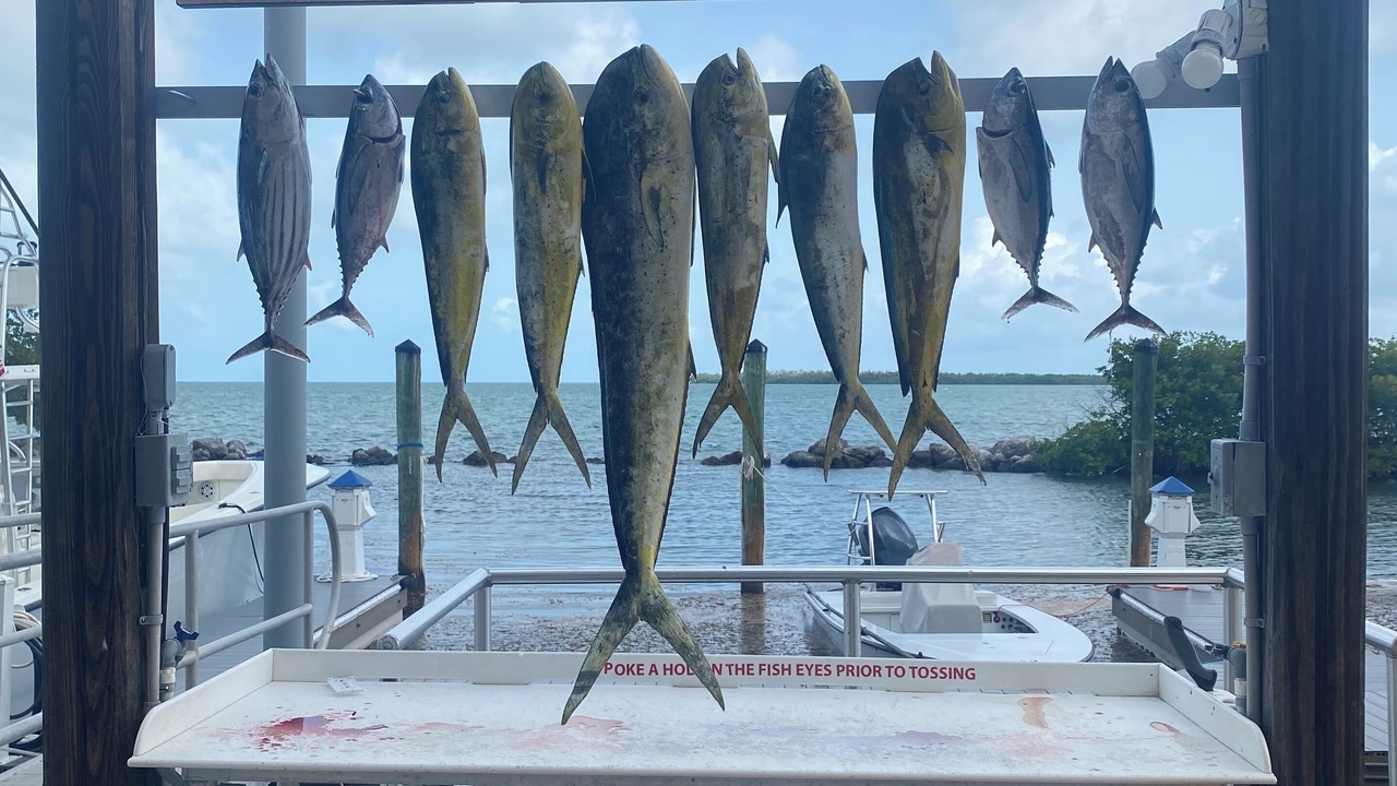 Photo of Others in Long Key