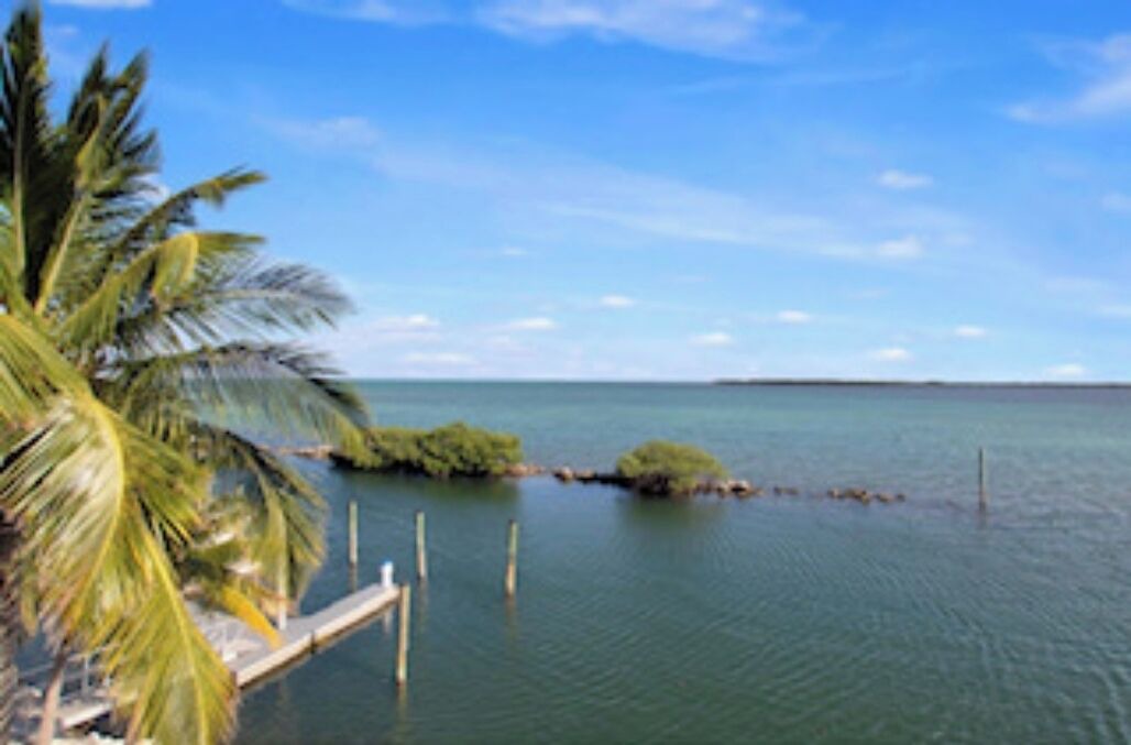 Photo of Others in Long Key
