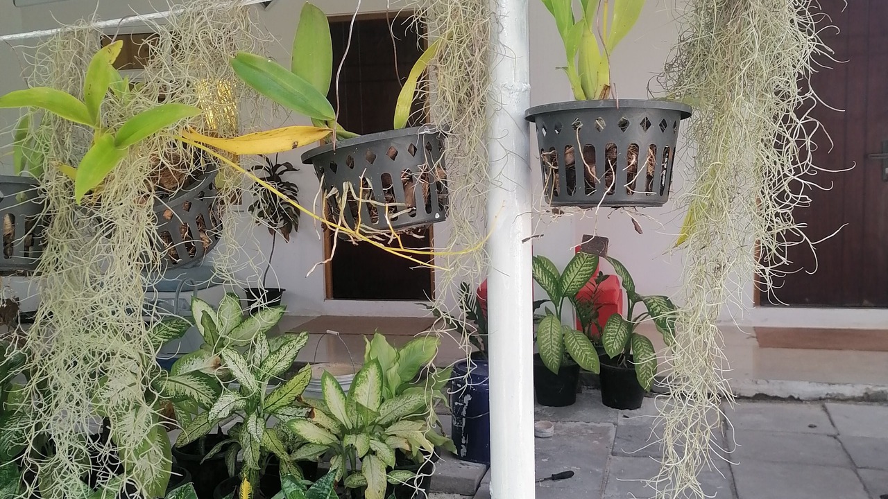 Photo of Outdoor in Hithadhoo