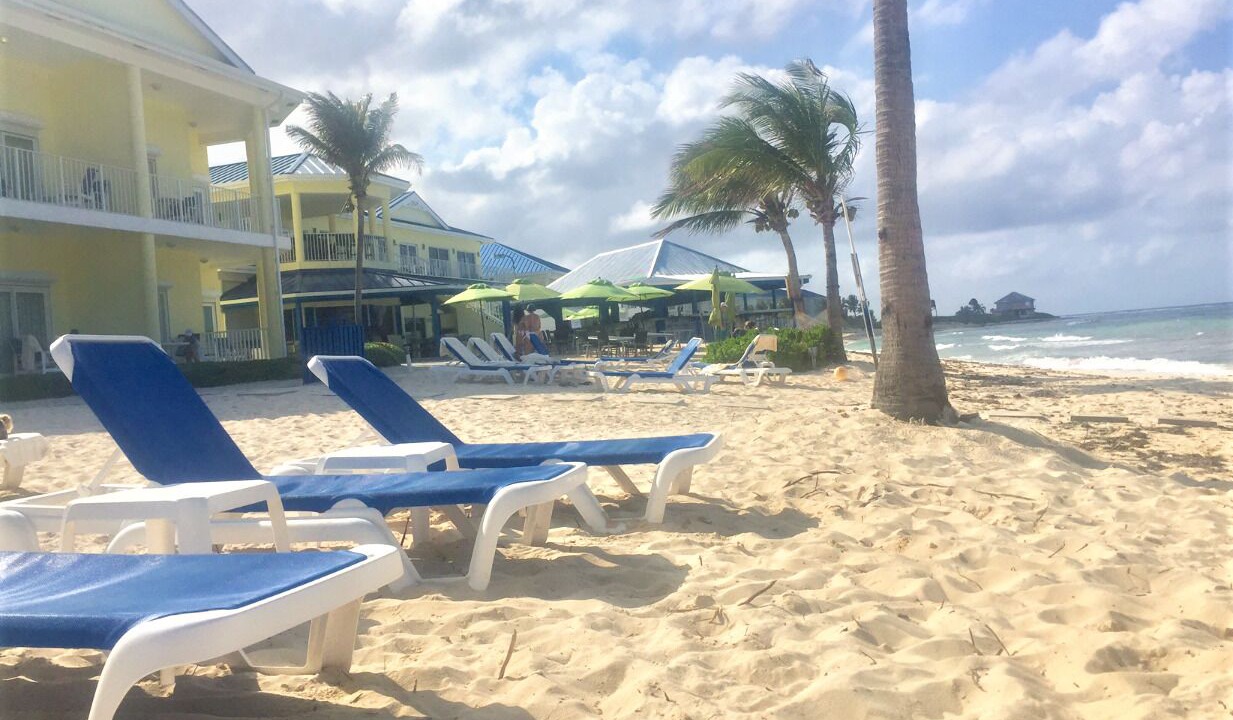 Photo of Others in Colliers Bay