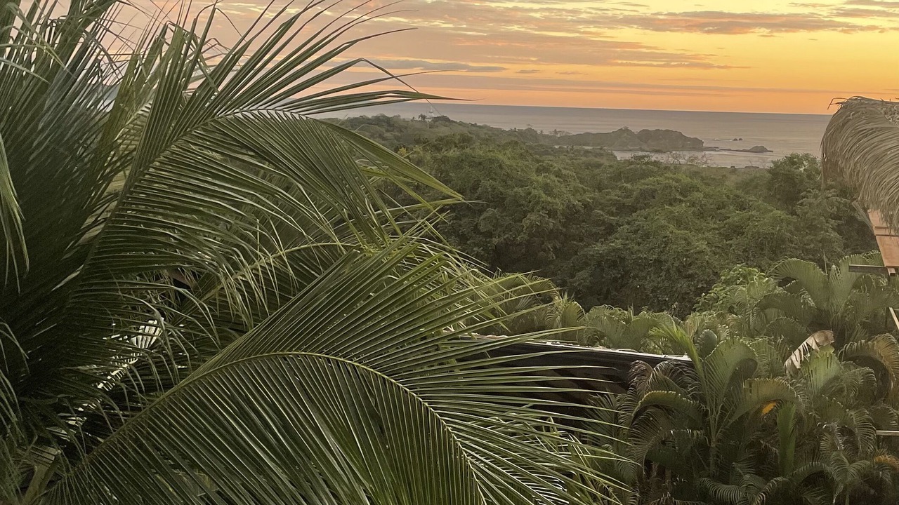Photo of Outdoor in Nosara