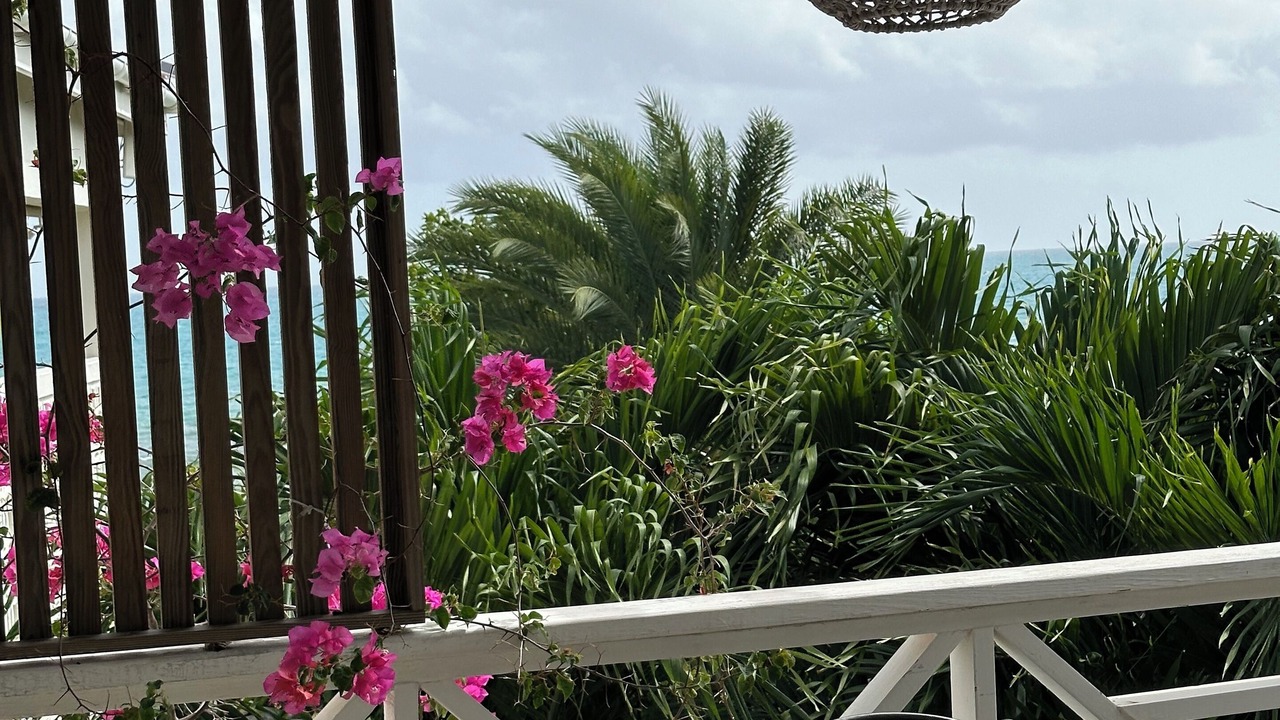Photo of Outdoor in Dickenson Bay