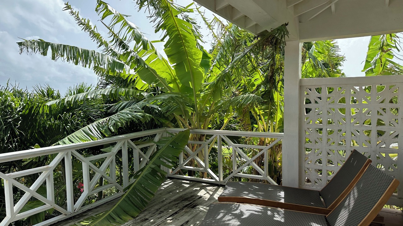 Photo of Outdoor in Dickenson Bay