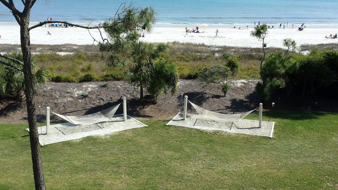 Photo of Others in Sea Pines