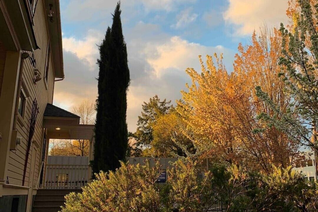 Photo of Outdoor in Kerns