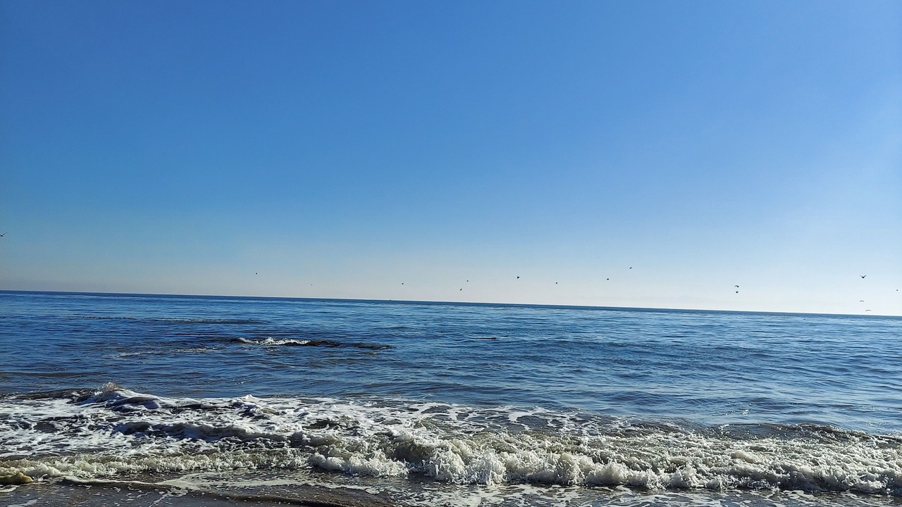 Photo of Others in Santa Barbara