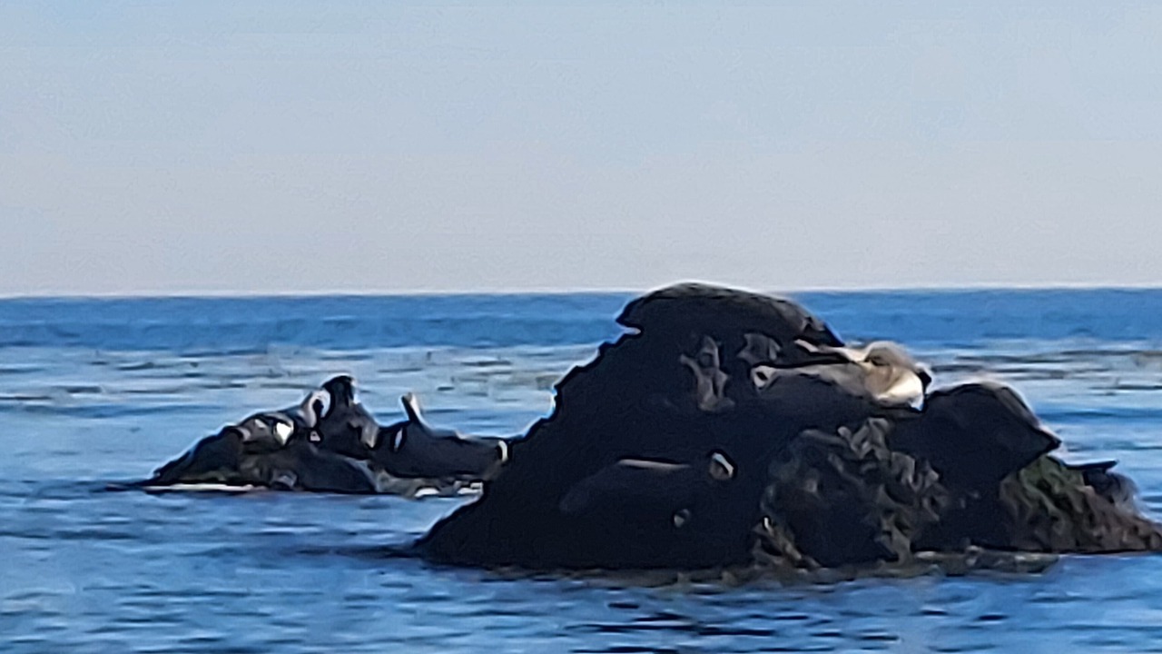 Photo of Others in Santa Barbara