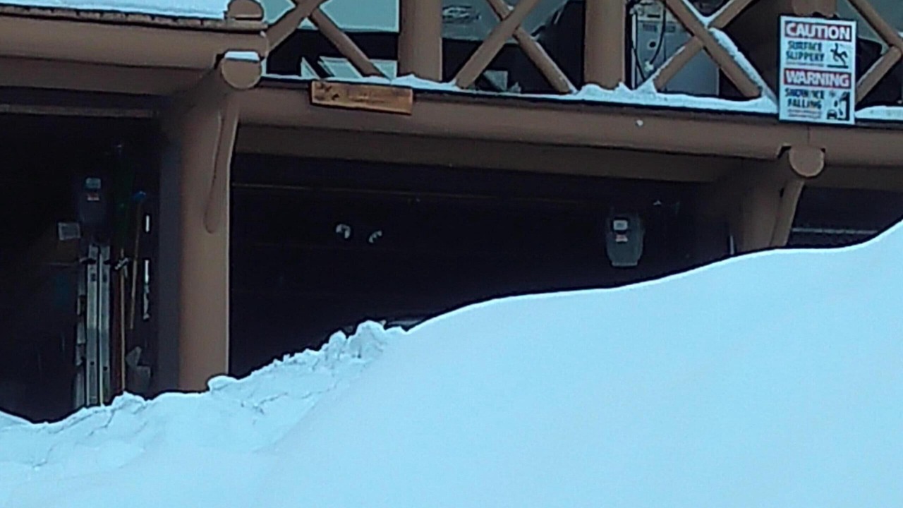 Photo of Others in Hemlock Valley