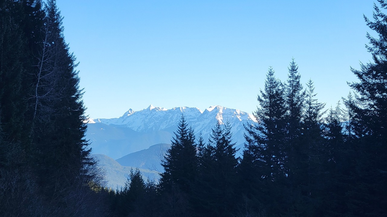Photo of Others in Hemlock Valley