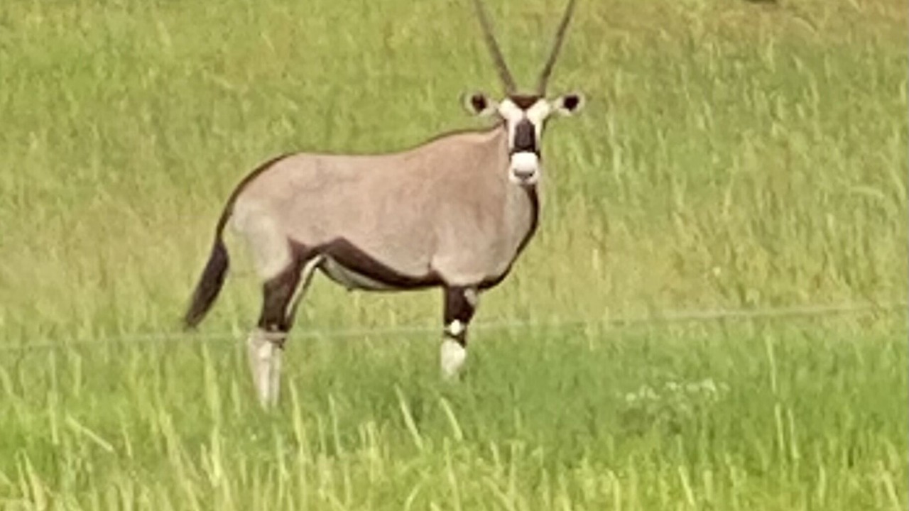 Photo of Outdoor in Maun