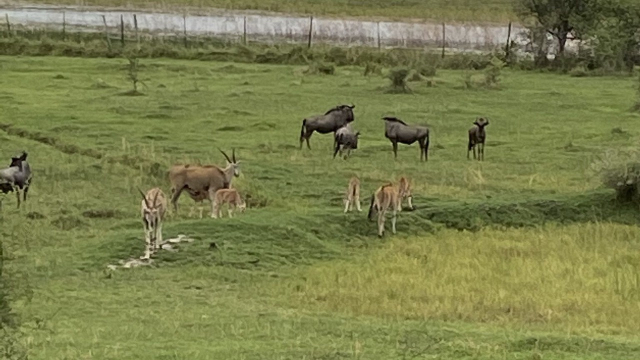 Photo of Others in Maun