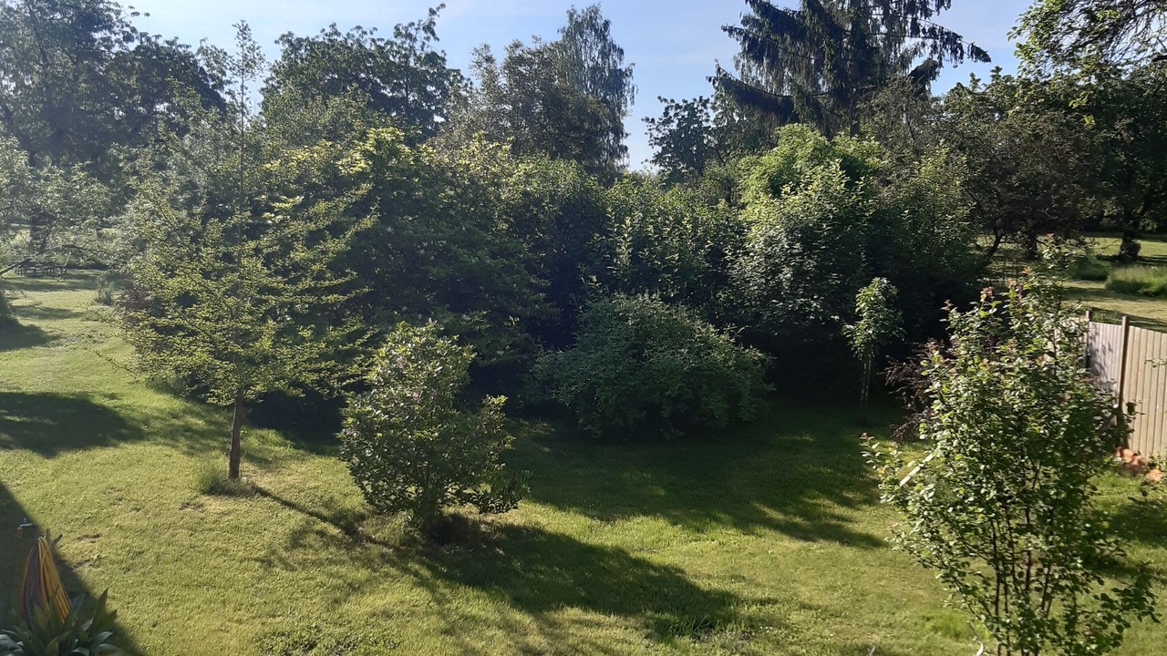 Photo of Outdoor in Boitzenburger Land
