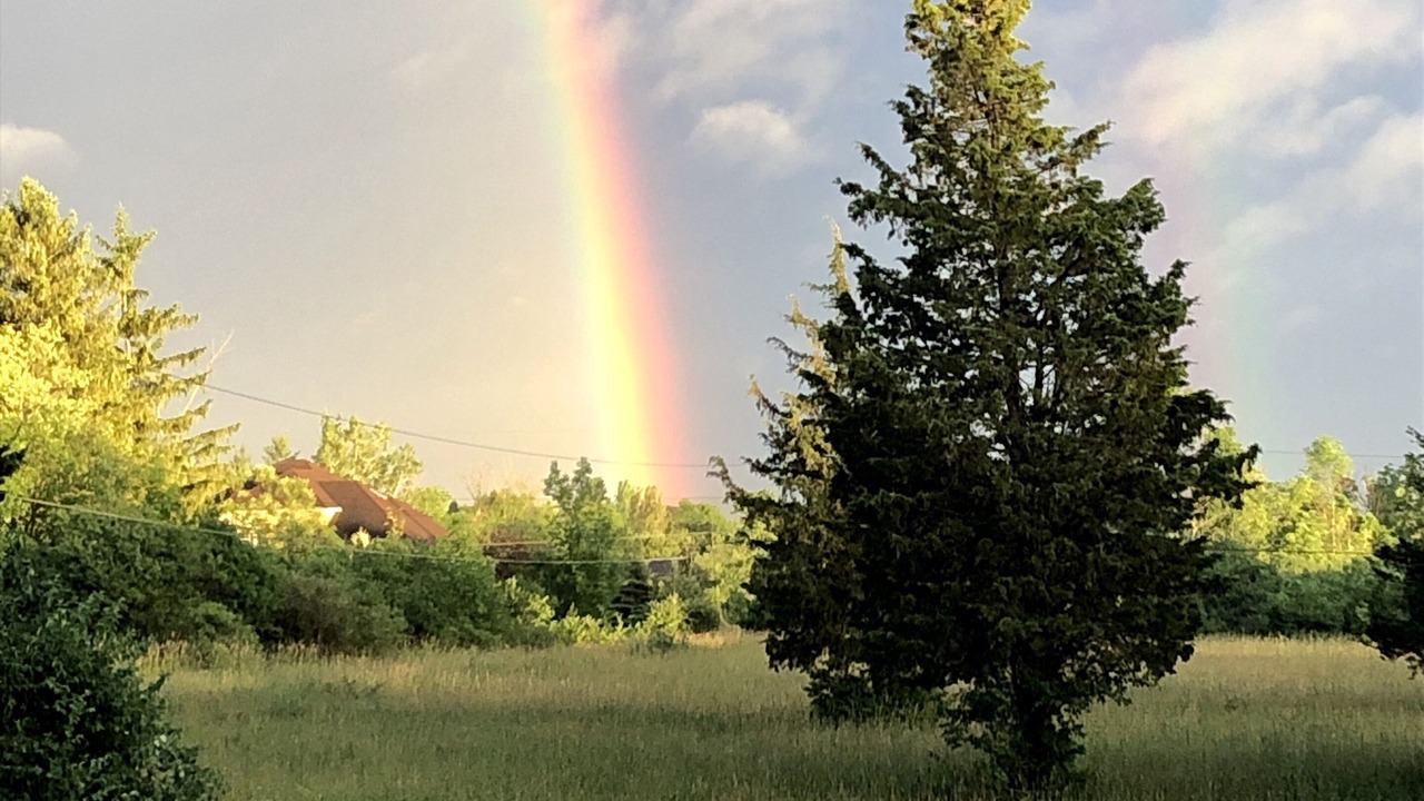 Photo of Others in Ithaca
