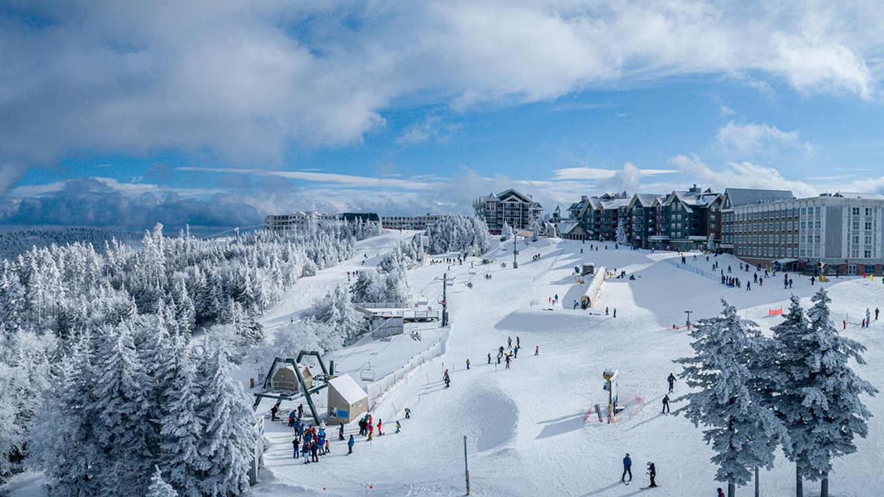 Photo of Others in Snowshoe