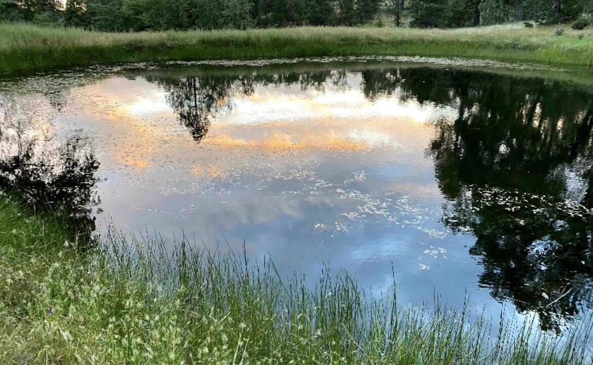 Photo of Outdoor in Mariposa