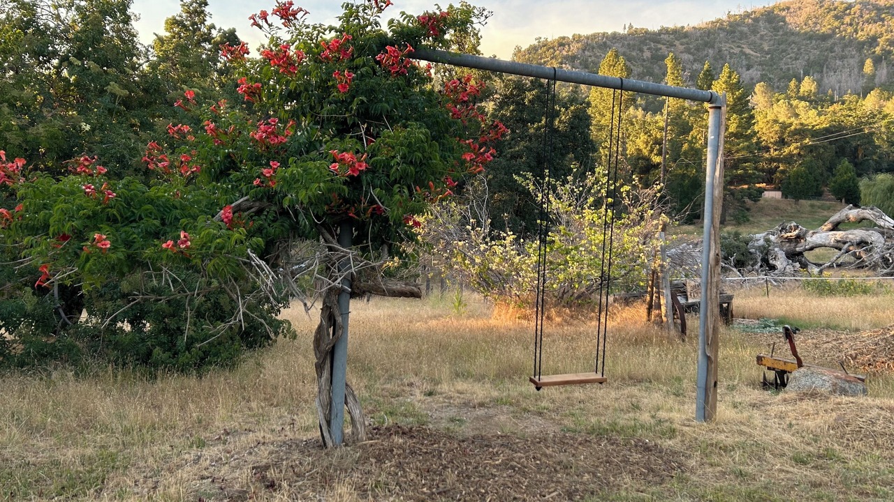 Photo of Outdoor in Mariposa