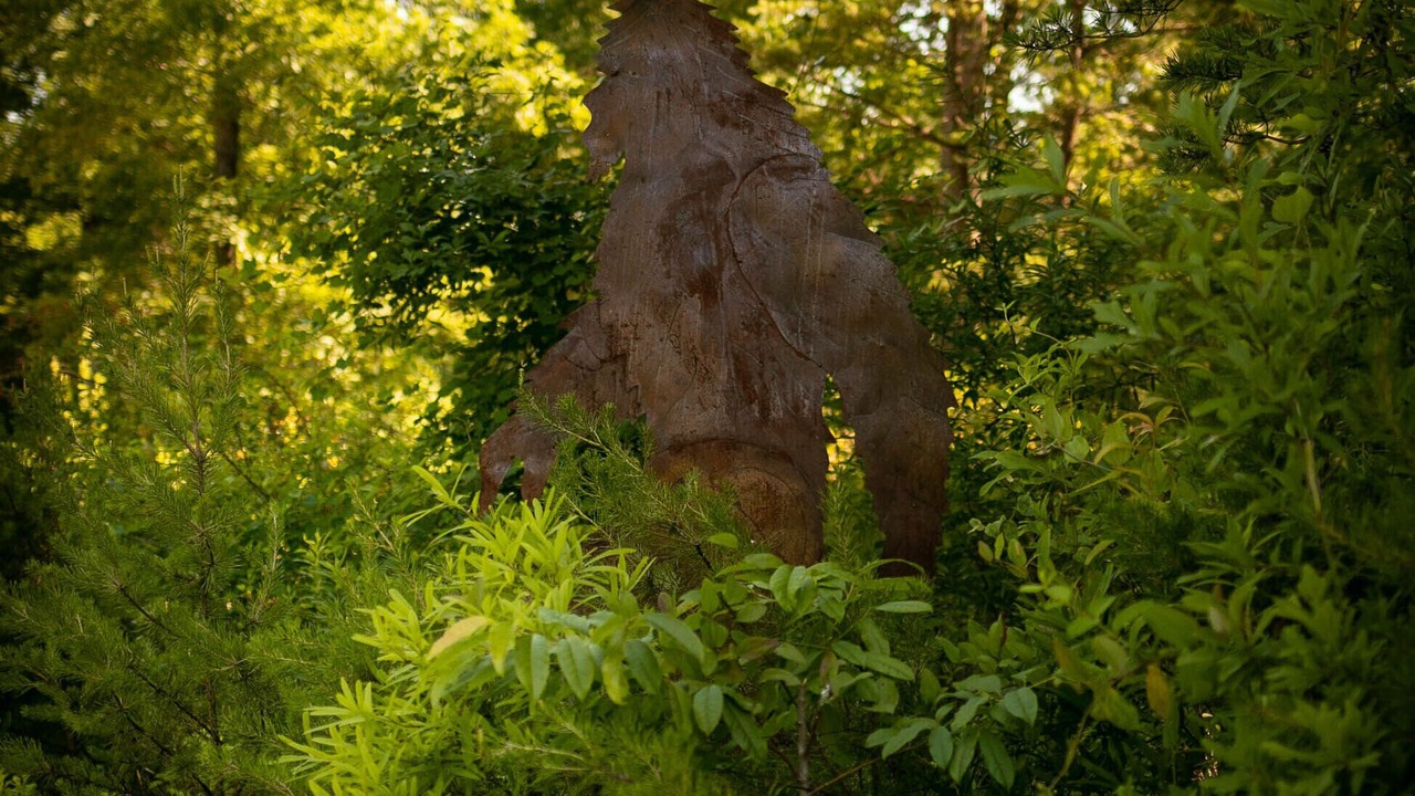 Photo of Outdoor in Slater