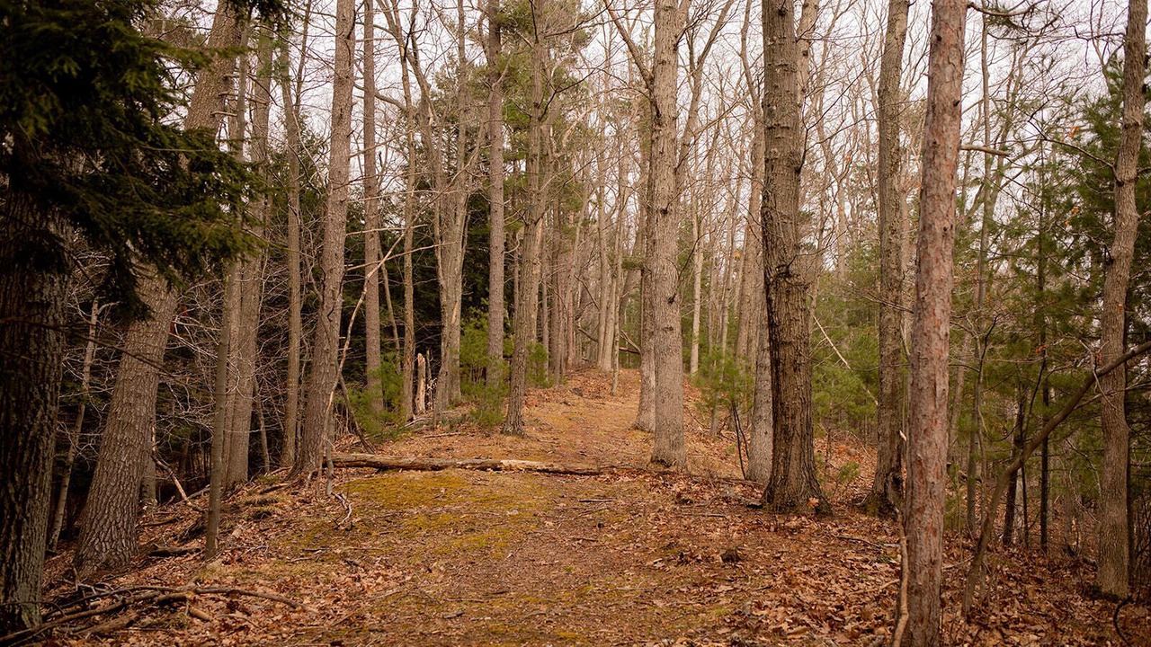 Photo of Outdoor in Glen Arbor