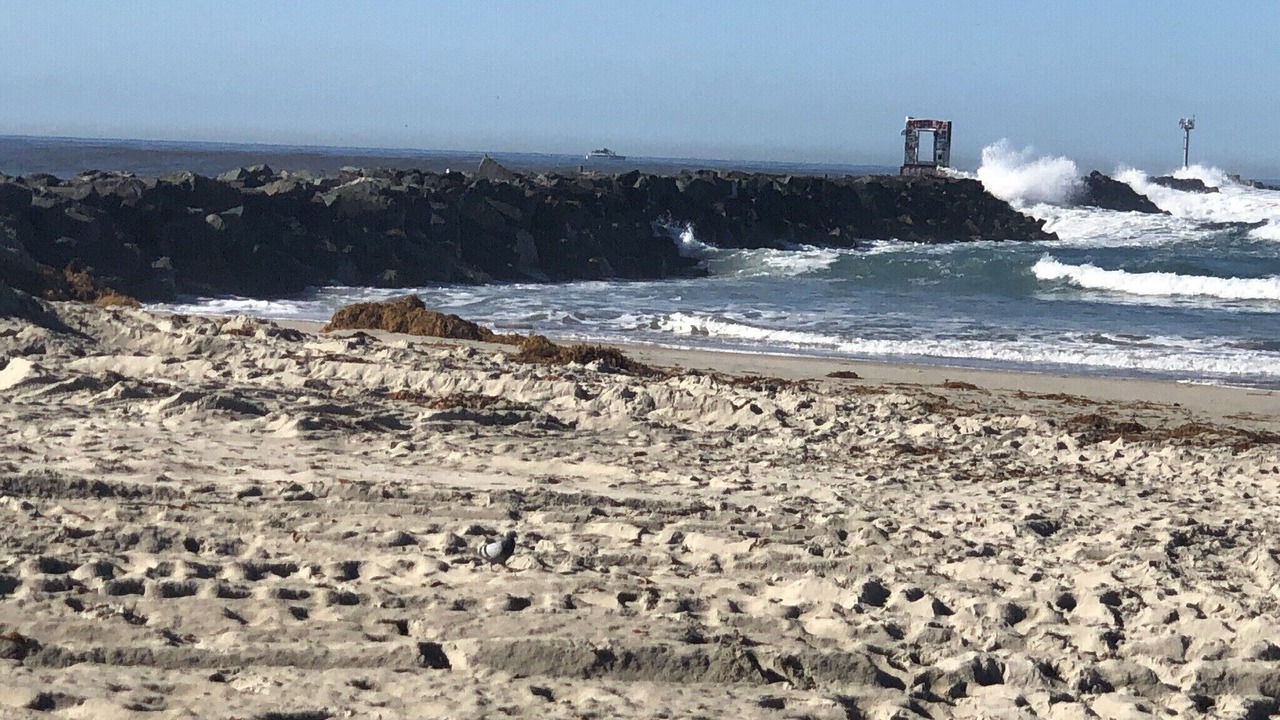 Photo of Others in South Mission Beach