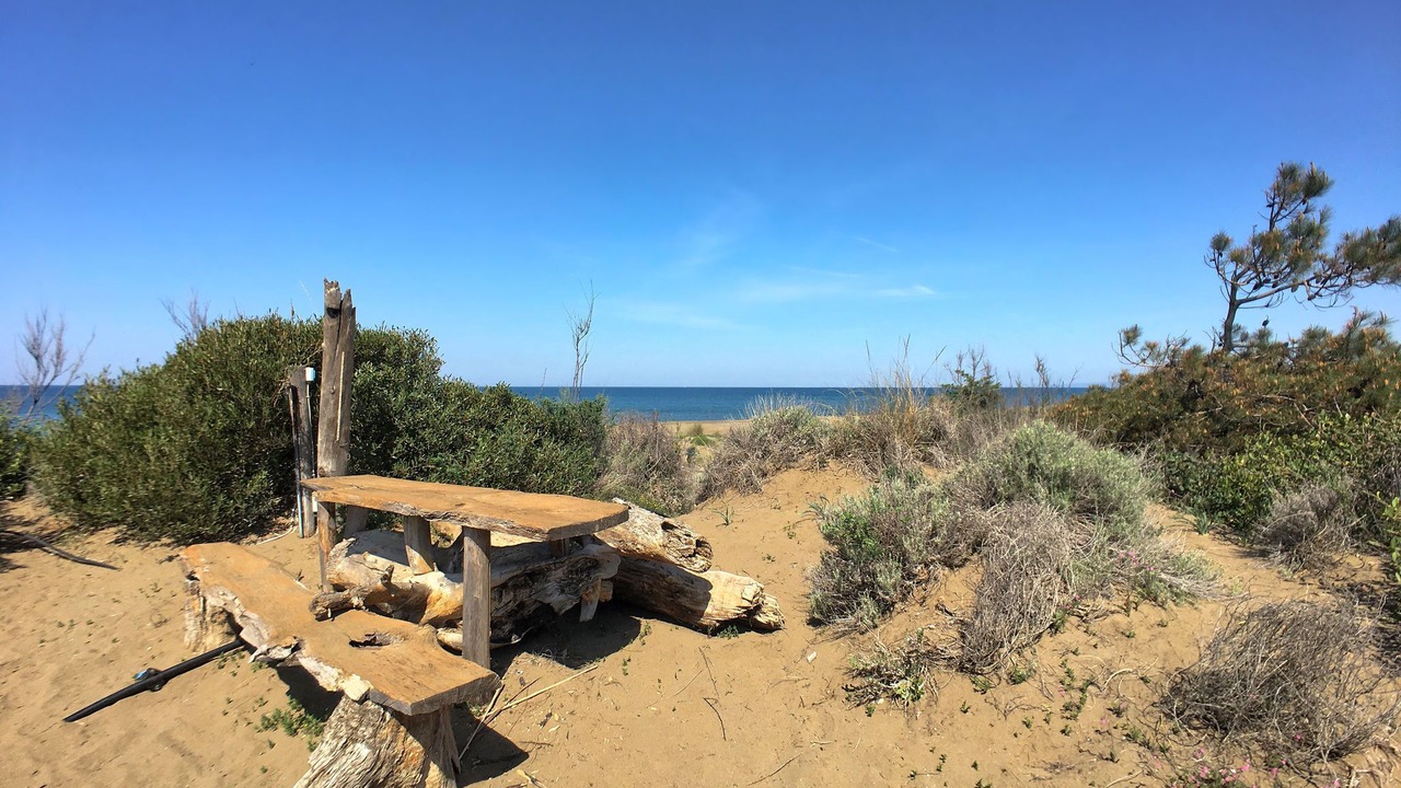 Photo of Outdoor in Donoratico