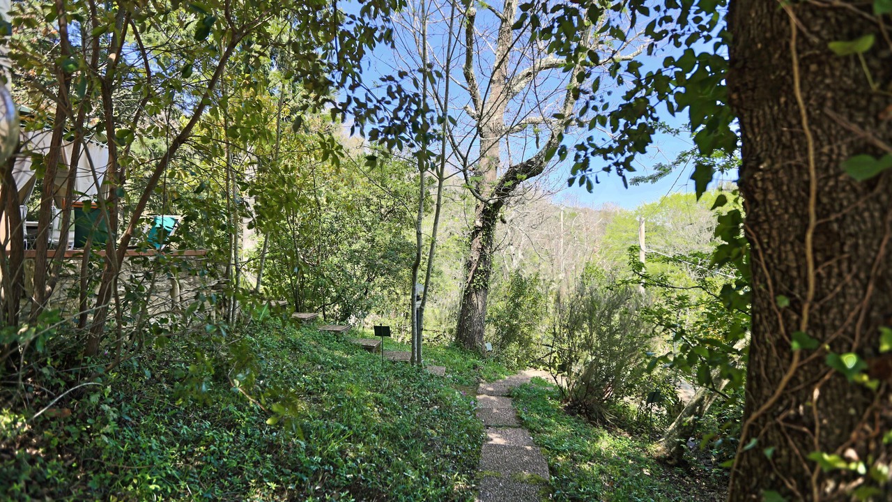Photo of Outdoor in Donoratico