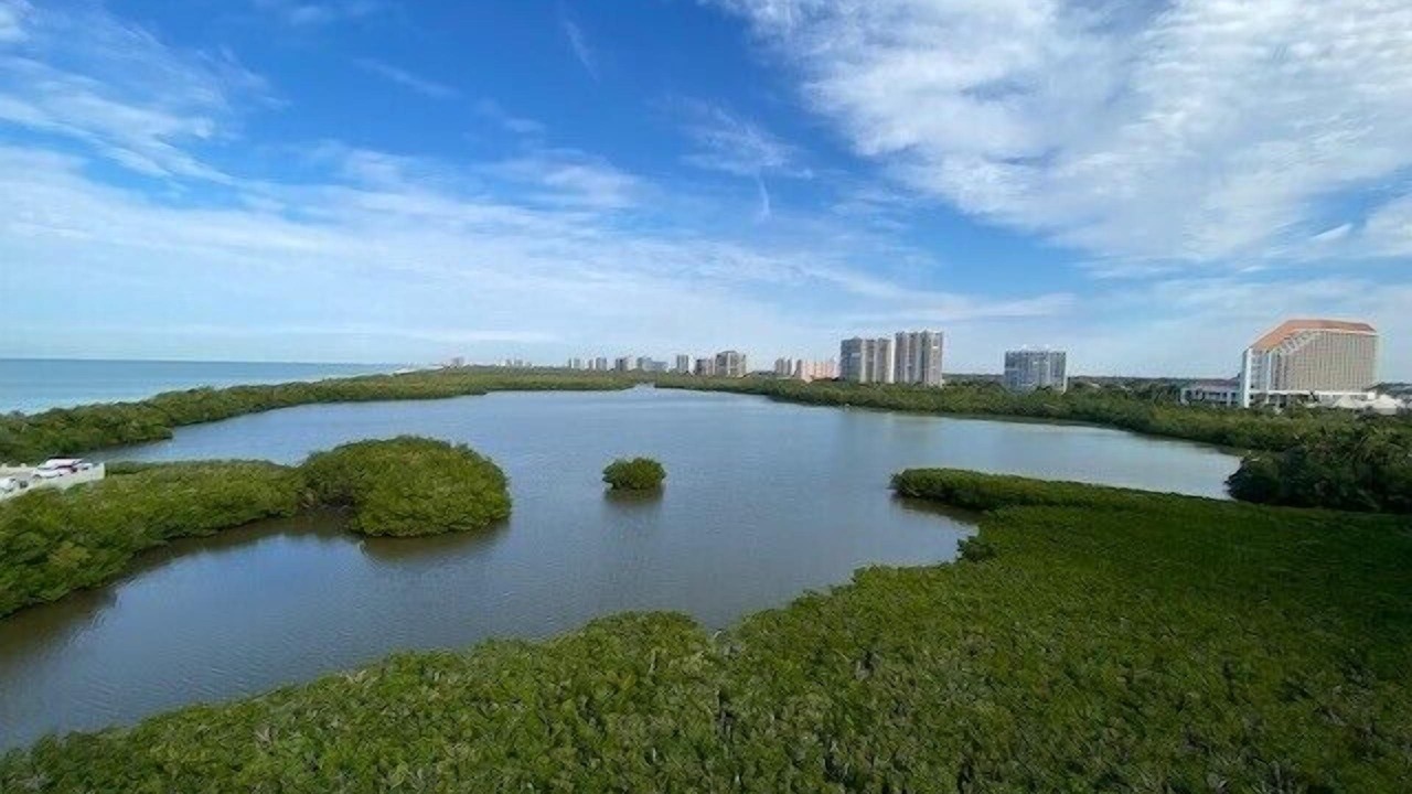 Photo of Others in Park Shore