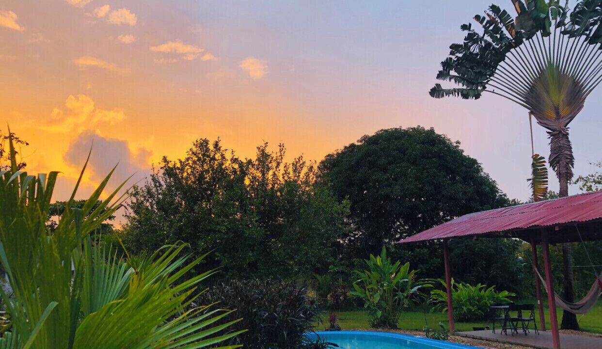 Photo of Outdoor in Sierpe