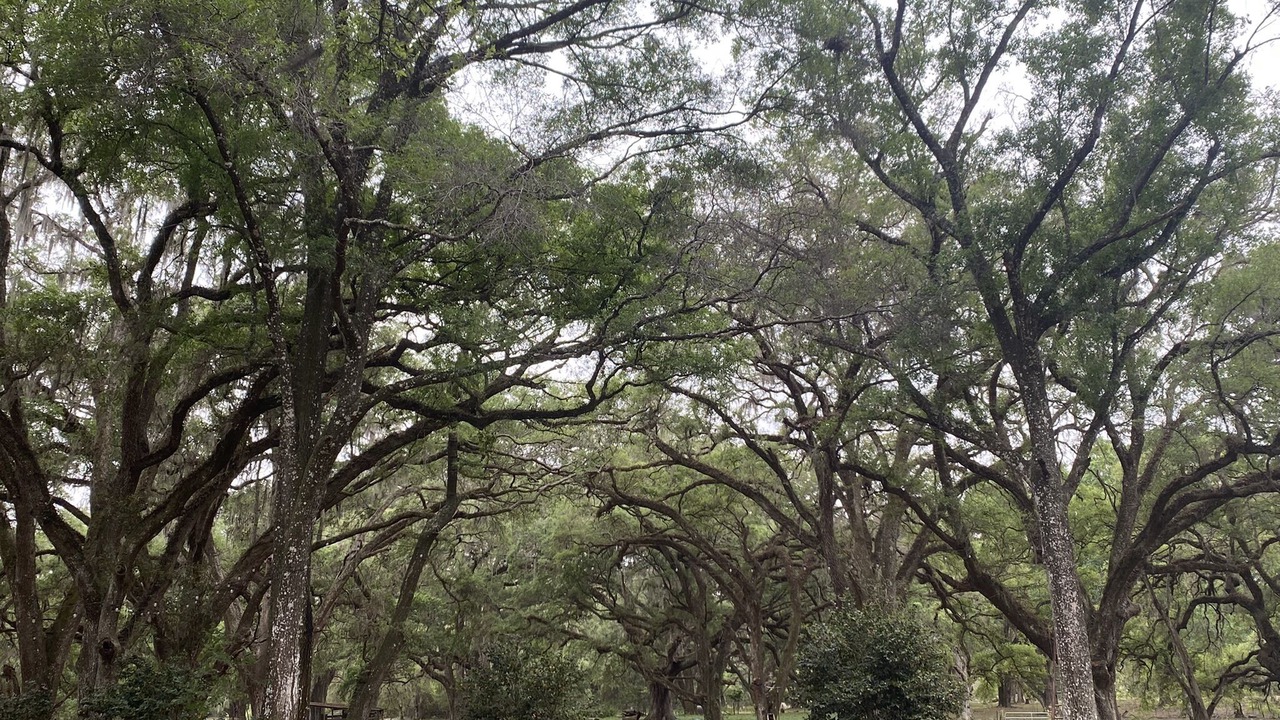 Photo of Outdoor in Williston