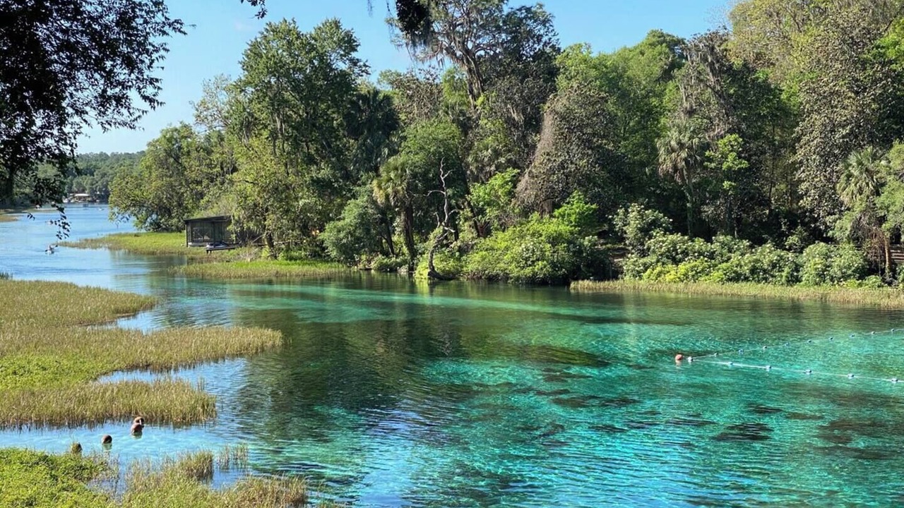 Photo of Others in Dunnellon