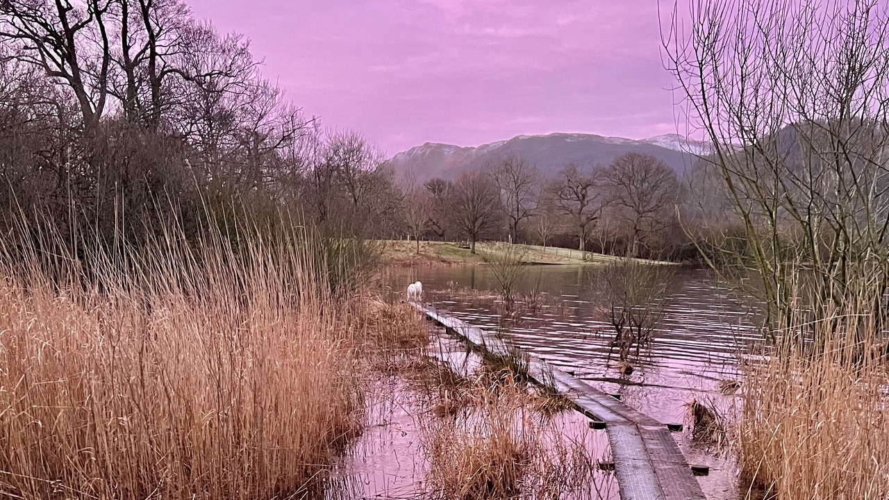 Photo of Others in Bassenthwaite