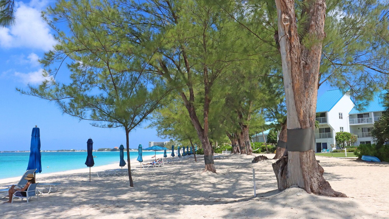 Photo of Outdoor in Seven Mile Beach