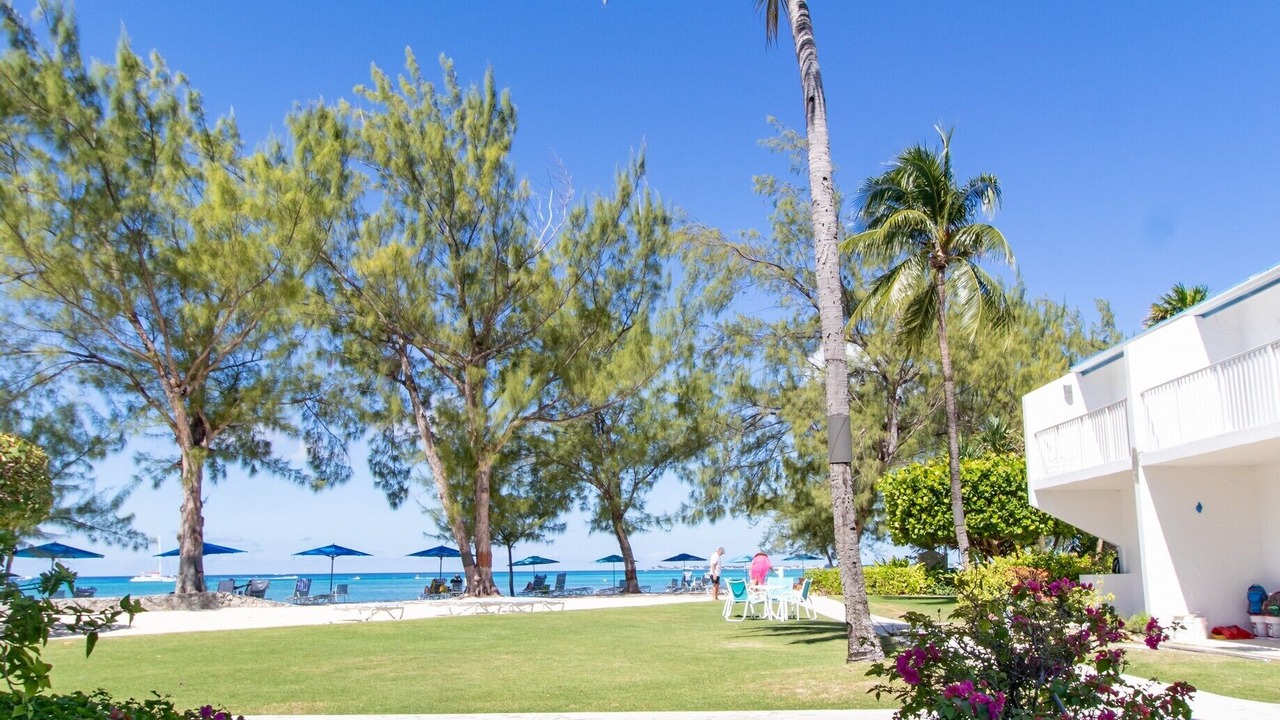 Photo of Others in Seven Mile Beach