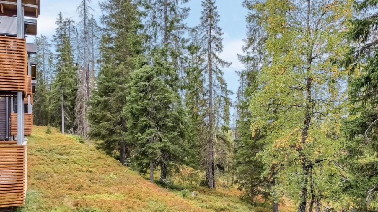 Photo of Outdoor in Rukatunturi