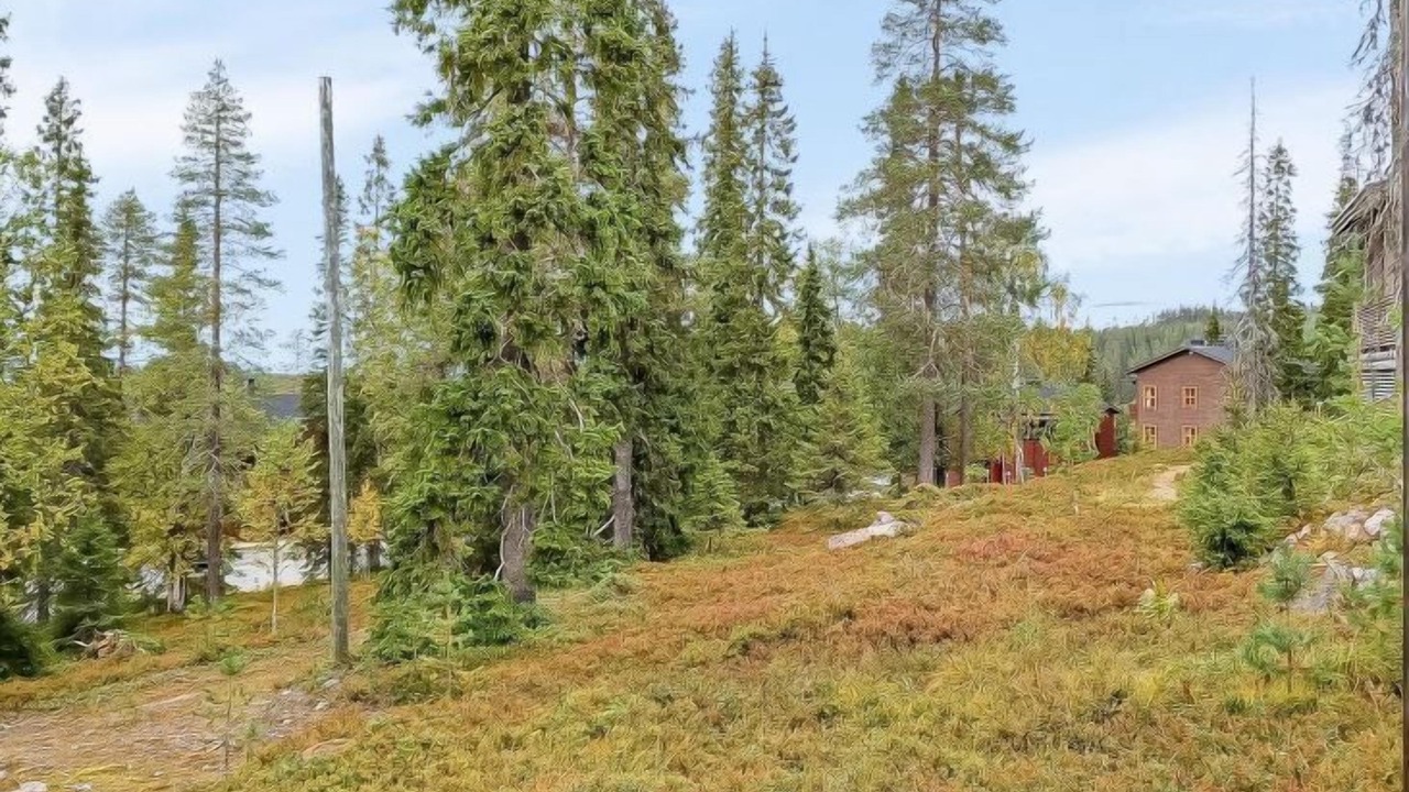 Photo of Outdoor in Rukatunturi
