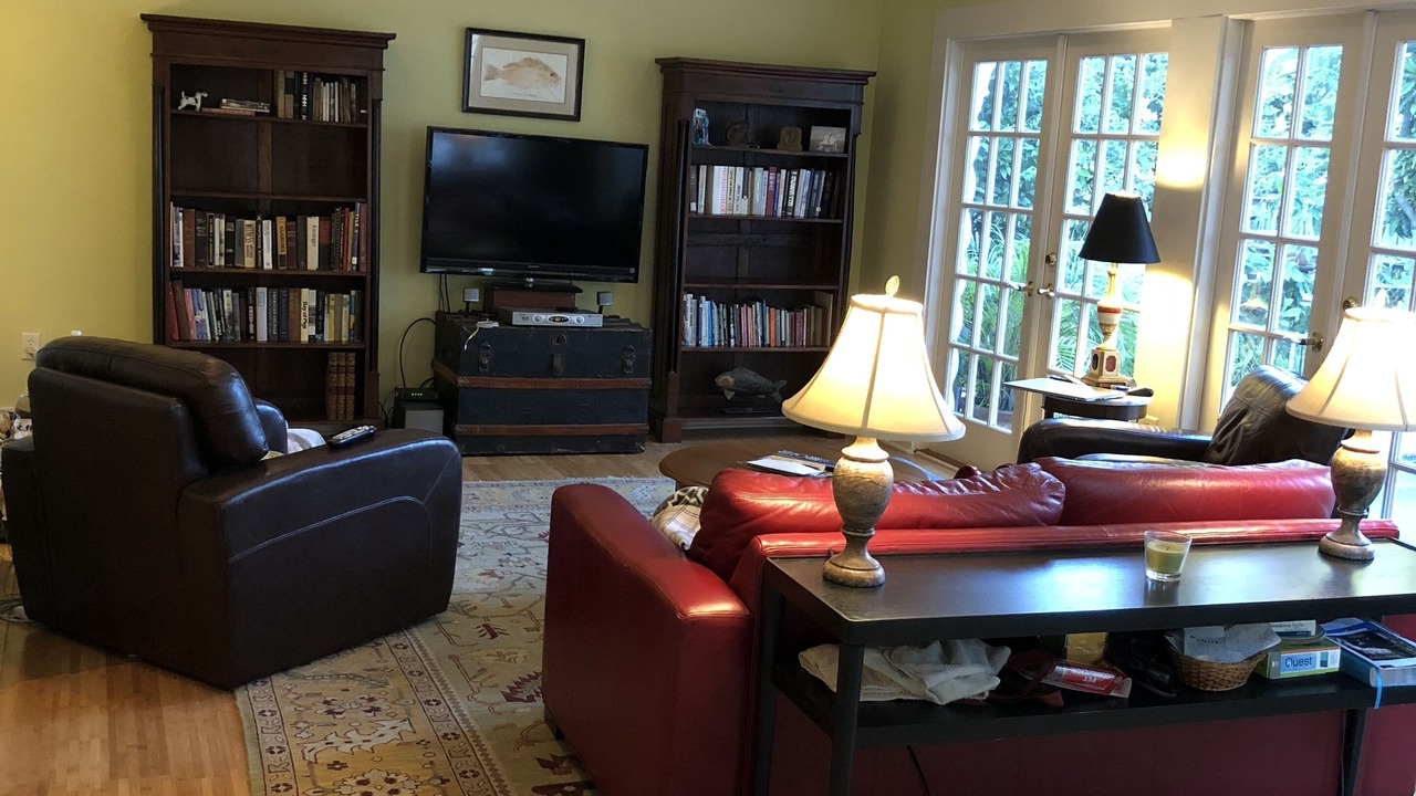 Photo of Livingroom in Davis Islands