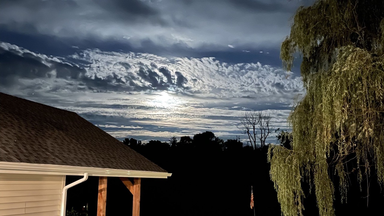 Photo of Outdoor in Waterloo