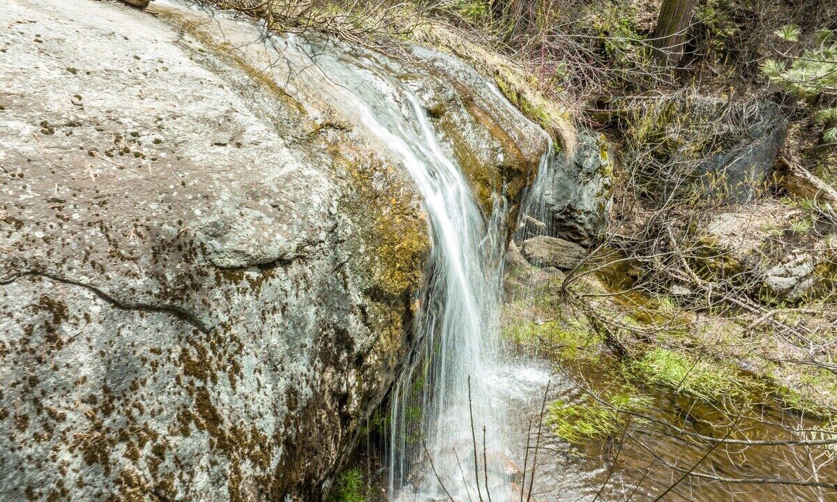 Photo of Outdoor in Shaver Lake