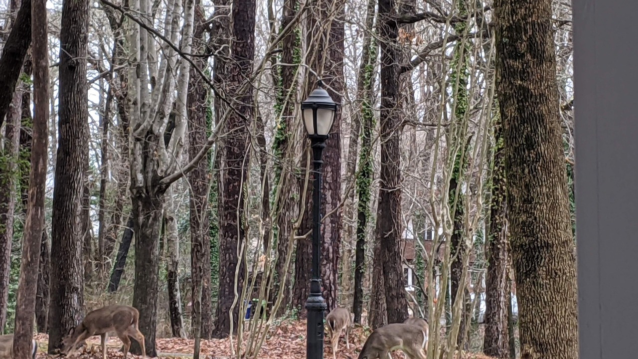 Photo of Others in Northwest Raleigh