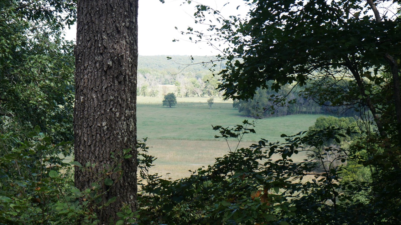 Photo of Others in Steelville