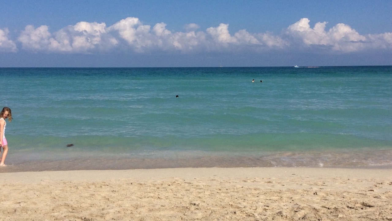 Photo of Others in South Beach