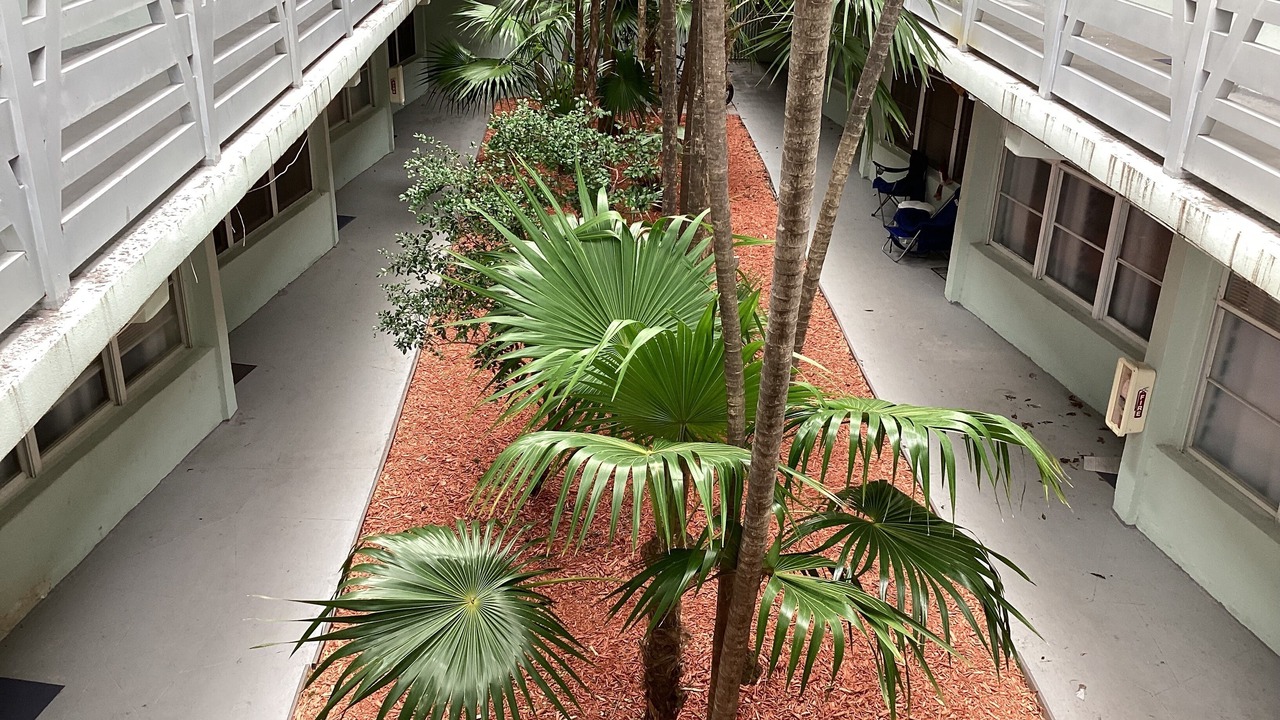 Photo of Outdoor in South Beach