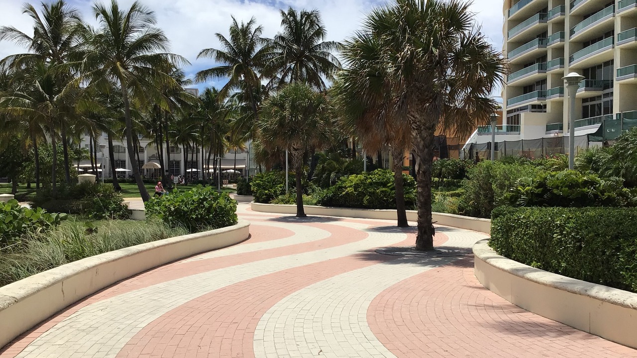 Photo of Others in South Beach