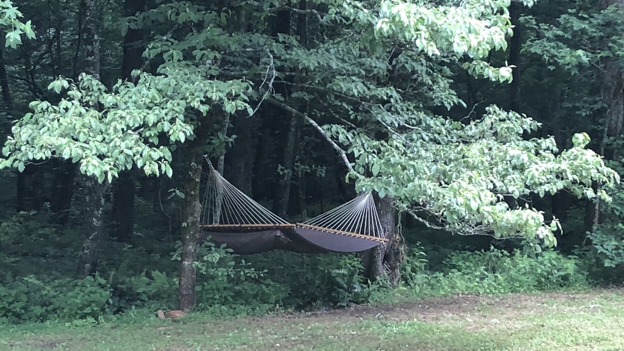 Photo of Others in Ellijay