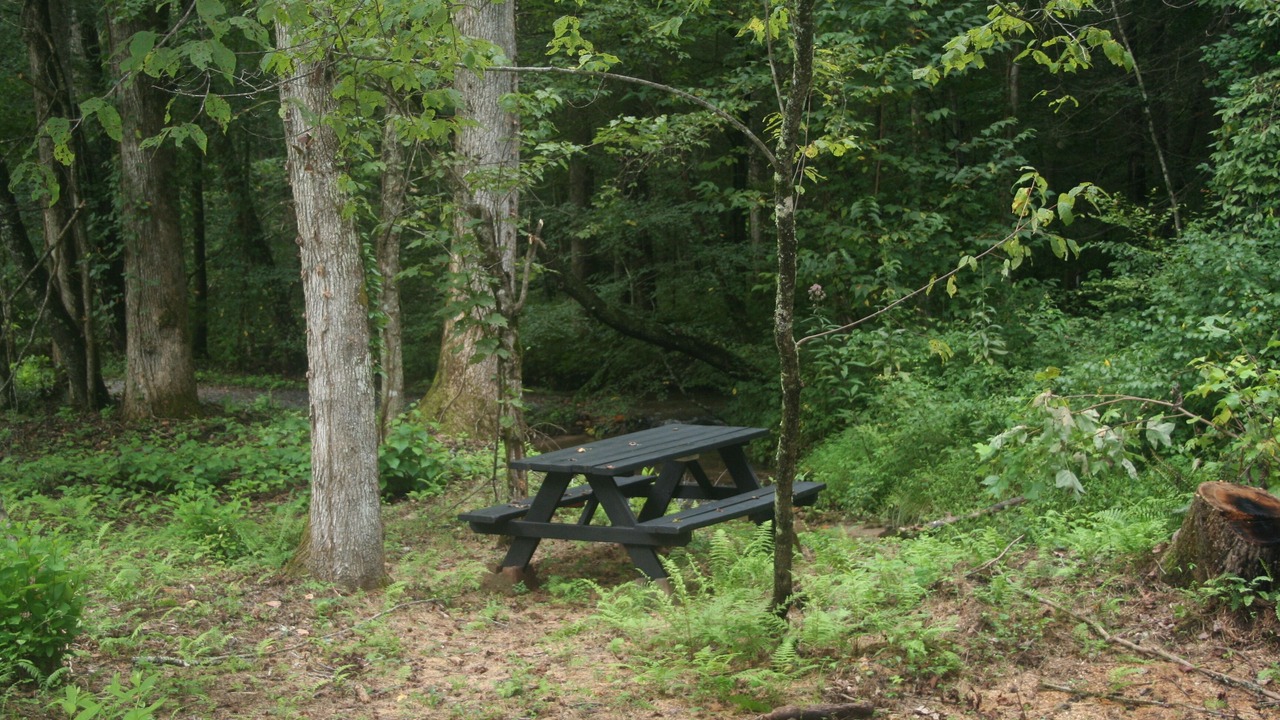 Photo of Others in Ellijay