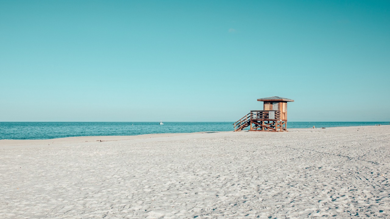 Photo of Others in Sarasota